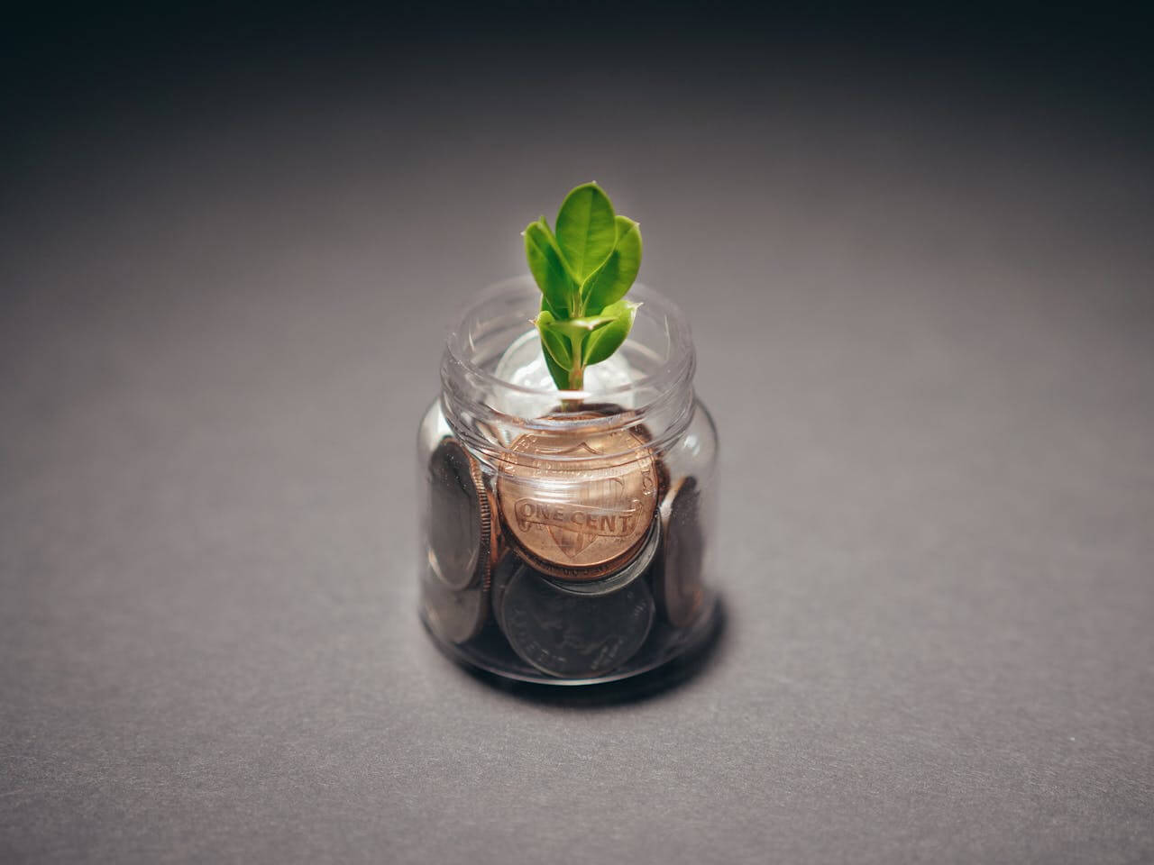 Saving vs. Investing UAE